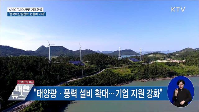 APEC &#39;CEO 서밋&#39;···&#34;동북아 산림협력 북 참여 기대&#34;