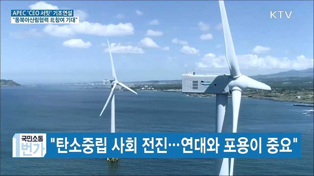 APEC 'CEO 서밋'···"동북아 산림협력 북 참여 기대"