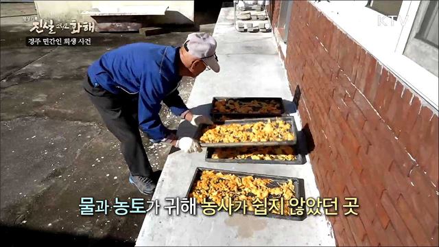 반복된 학살과 탄압 - 경주 민간인 희생사건