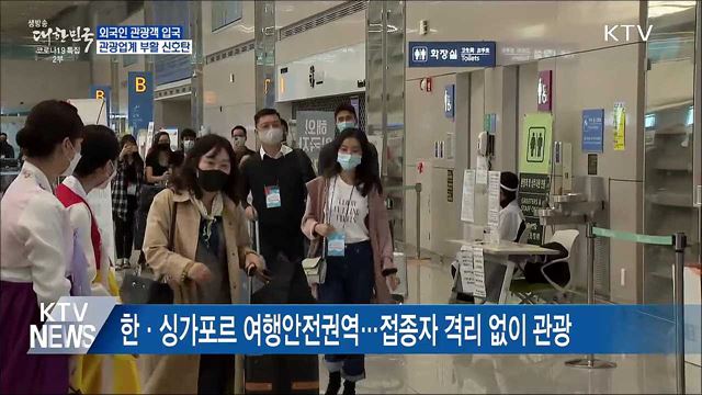 싱가포르서 관광객 첫 입국···방한관광 &#39;기지개&#39;