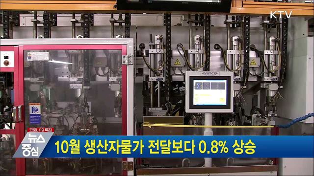 10월 생산자물가 전달보다 0.8&#37; 상승