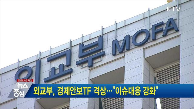 외교부, 경제안보TF 격상···&#34;이슈대응 강화&#34; 