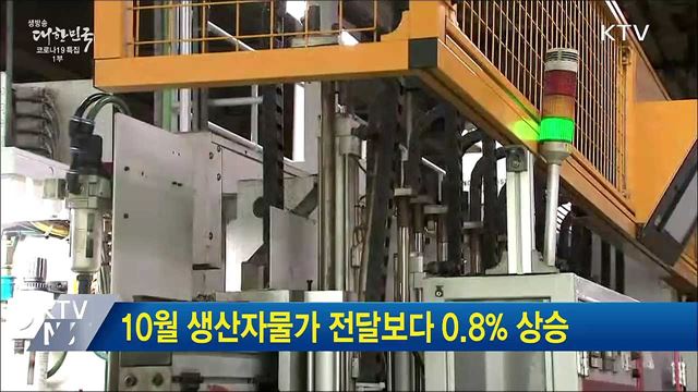 10월 생산자물가 전달보다 0.8&#37; 상승