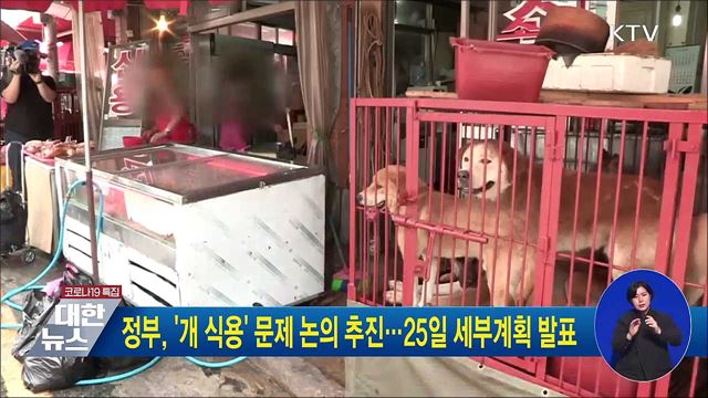 정부, &#39;개 식용&#39; 문제 논의 추진···25일 세부계획 발표
