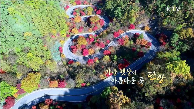 가을 햇살이 아름다운 곳 - 단양