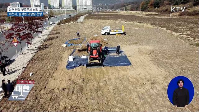 농촌 고령화·인력난 심각···농작업 &#39;대행시대&#39; [우리동네 개선문]