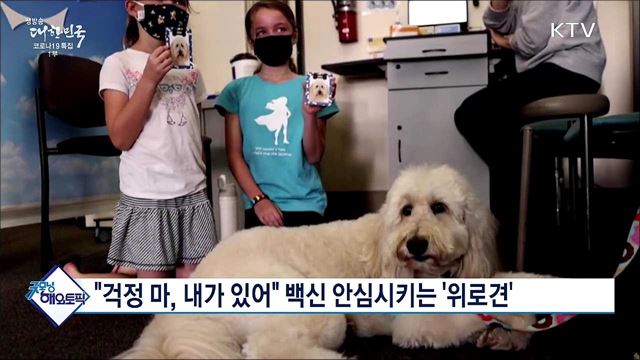 &#34;걱정 마, 내가 있어&#34; 백신 안심시키는 &#39;위로견&#39; [굿모닝 해외토픽]