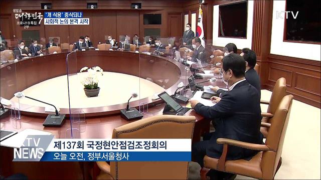 '개 식용' 종식되나···사회적 논의 본격 시작