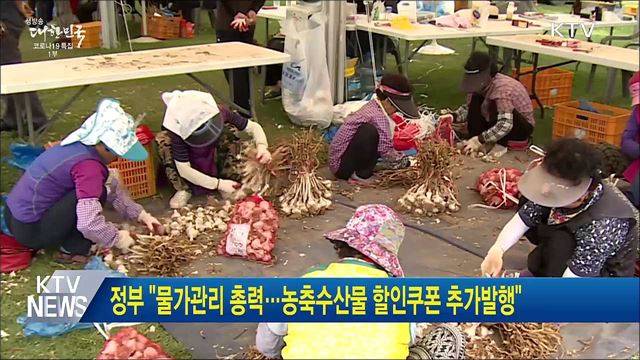 정부 &#34;물가관리 총력···농축수산물 할인쿠폰 추가발행&#34;