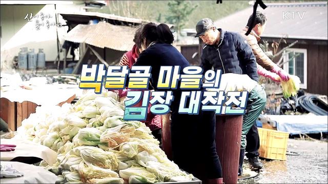 박달골 마을의 김장 대작전! - 경북 의성