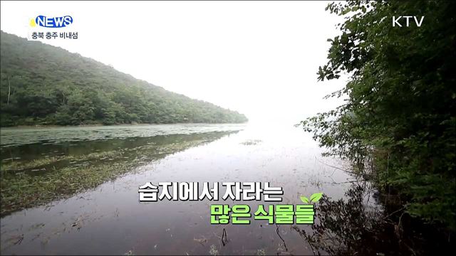탄소 중립에 중요한 역할하는 습지 [S&#38;News]