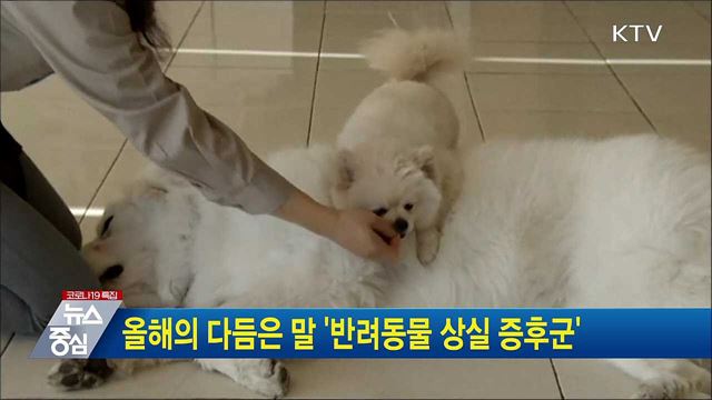 올해의 다듬은 말 &#39;반려동물 상실 증후군&#39;