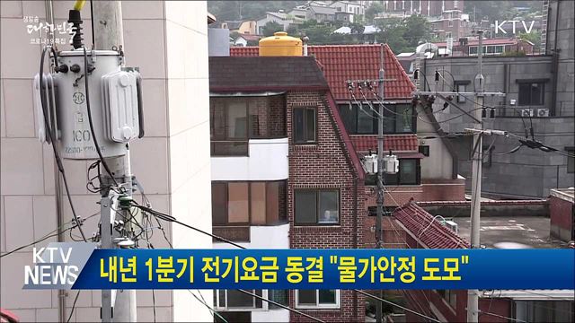 내년 1분기 전기요금 동결 &#34;물가안정 도모&#34;