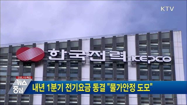 내년 1분기 전기요금 동결 &#34;물가안정 도모&#34;