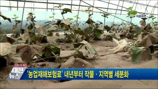 &#39;농업재해보험료&#39; 내년부터 작물·지역별 세분화