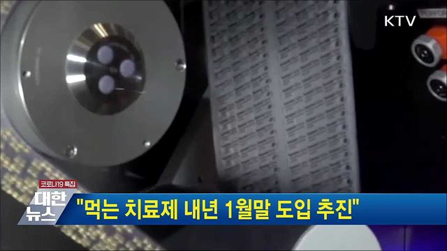 &#34;먹는 치료제 내년 1월말 도입 추진&#34;