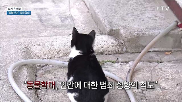 &#39;목불인견&#39; 동물학대 강력 처벌로 엄단해야 [터치 핫이슈]