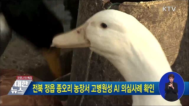 전북 정읍 종오리 농장서 고병원성 AI 의심사례 확인