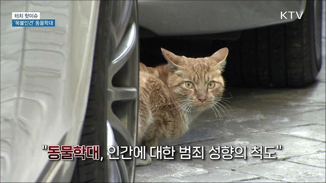 &#39;목불인견&#39; 동물학대 강력 처벌로 엄단해야 [터치 핫이슈]