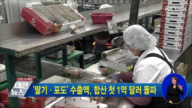 &#39;딸기·포도&#39; 수출액, 합산 첫 1억 달러 돌파