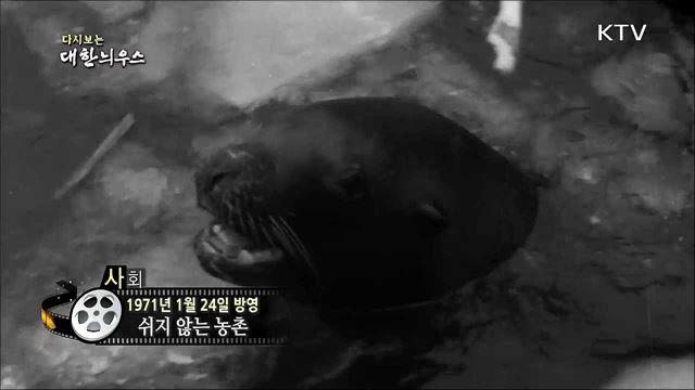 다시보는 대한늬우스 (71. 1. 24) 이미지