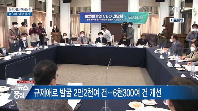靑 &#34;혁신기업 규제혁신 3배 이상 증가&#34;