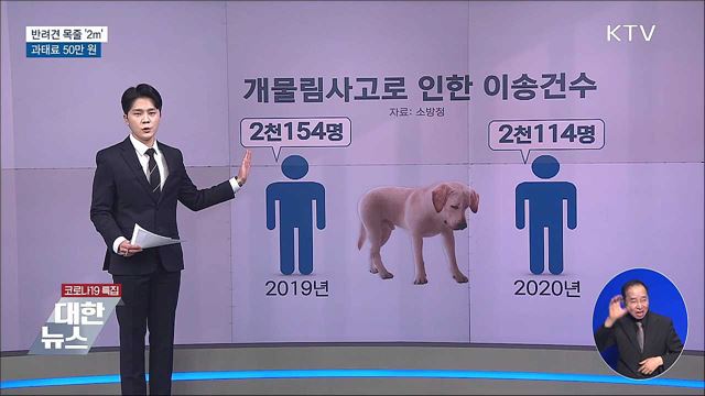 11일부터 반려견 목줄 &#39;2m&#39;···과태료 최대 50만 원