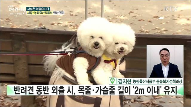 &#39;반려견 안전관리 의무강화&#39;, 공동주택에서 무조건 안고 이동해야 한다? [사실은 이렇습니다]