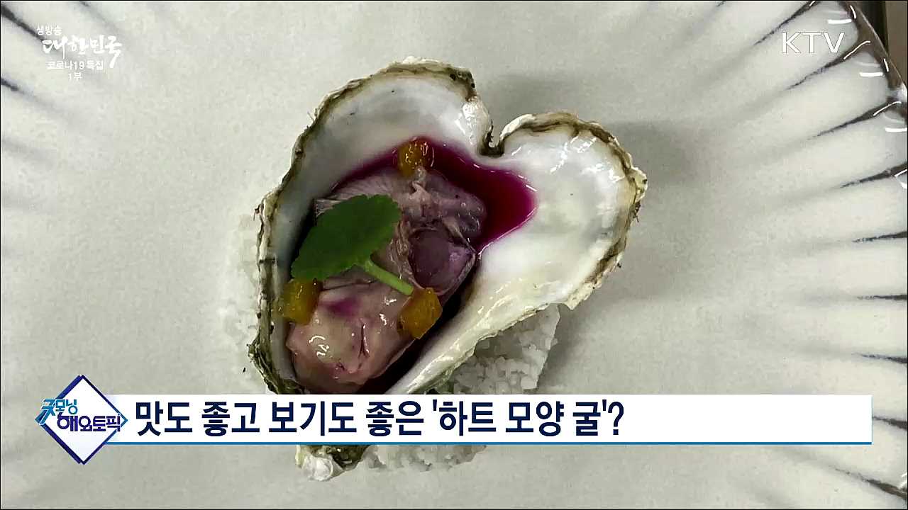 맛도 좋고 보기도 좋은 &#39;하트 모양 굴&#39;? [굿모닝 해외토픽]