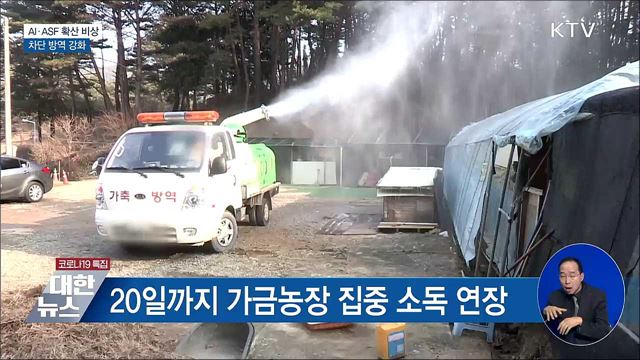 AI·ASF 확산 비상···차단 방역 강화
