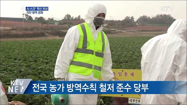 AI·ASF 확산 비상···차단 방역 강화