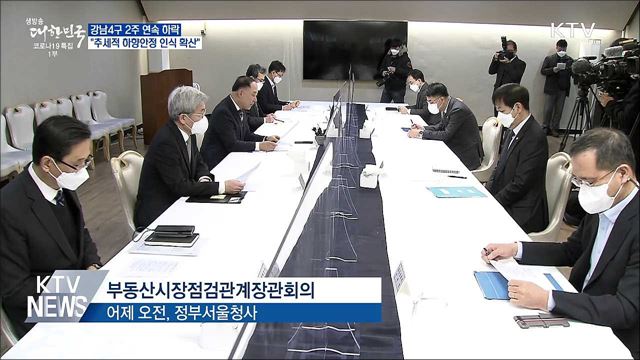 강남 4구 2주 연속 하락···&#34;추세적 하향안정 인식 확산&#34;