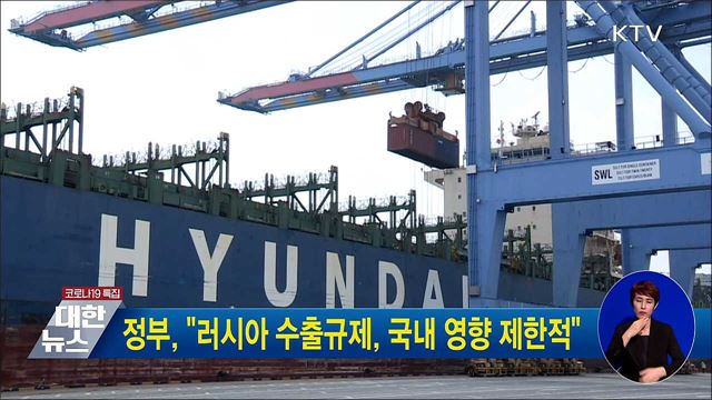 정부, &#34;러시아 수출규제, 국내 영향 제한적&#34;