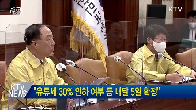 &#34;유류세 30&#37; 인하 여부 등 내달 5일 확정&#34;