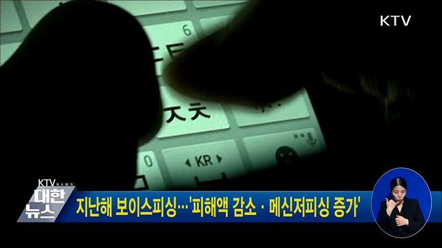 지난해 보이스피싱···&#39;피해액 감소·메신저피싱 증가&#39;