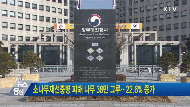 소나무재선충병 피해 나무 38만 그루···22.6&#37; 증가