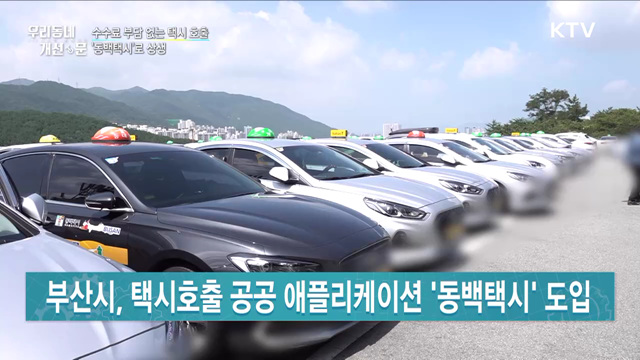 수수료 부담 없는 택시 호출···'동백택시'로 상생 [우리동네 개선문]