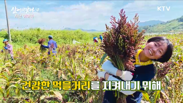 수수하지만 굉장해! 낫낫한 시골살이 2부