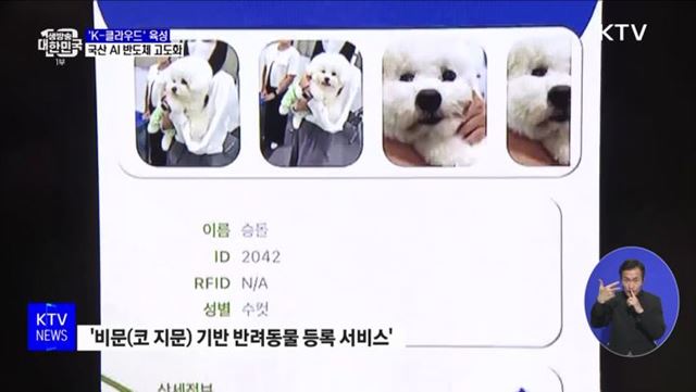 &#39;K-클라우드&#39; 육성···2030년 국산 AI 반도체 점유율 80&#37;