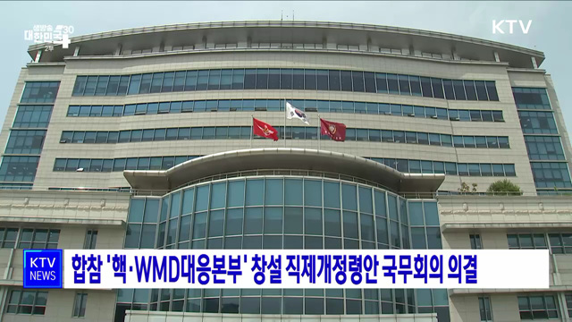 합참 &#39;핵·WMD대응본부&#39; 창설 직제개정령안 국무회의 의결