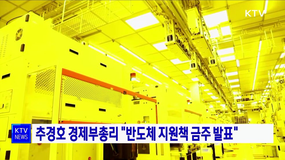 추경호 경제부총리 &#34;반도체 지원책 금주 발표&#34;