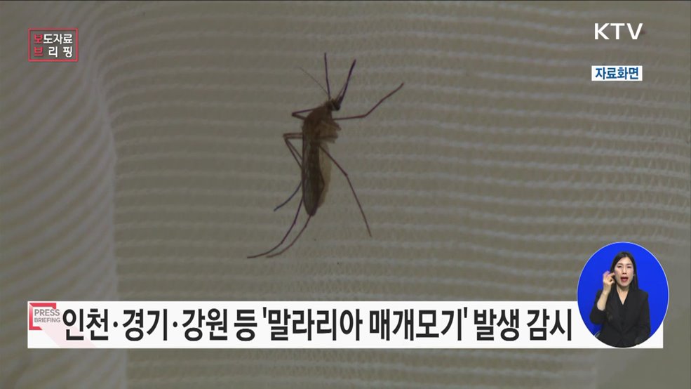 &#39;말라리아 매개모기 발생 감시&#39; 시작!