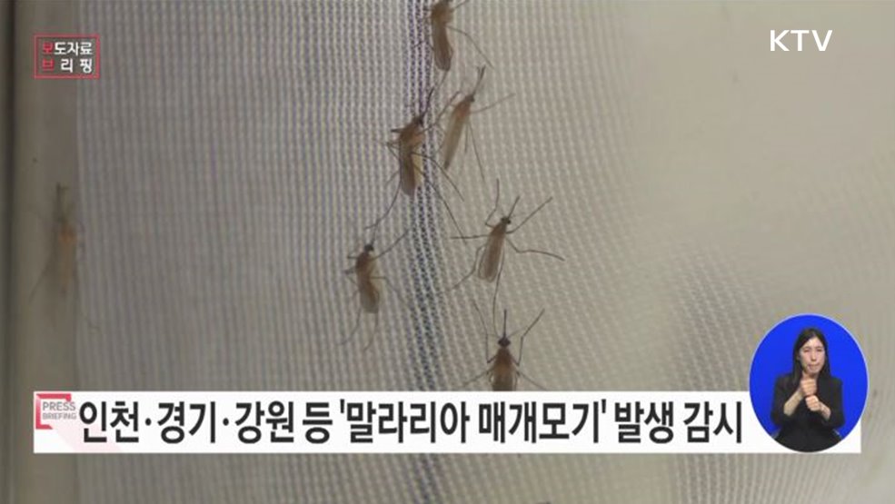 &#39;말라리아 매개모기 발생 감시&#39; 시작!