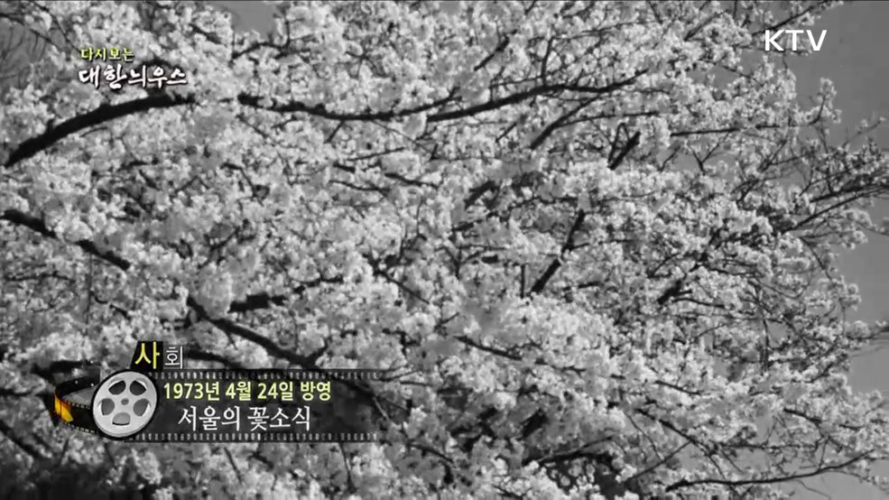 다시보는 대한늬우스 (73. 4. 24) 이미지