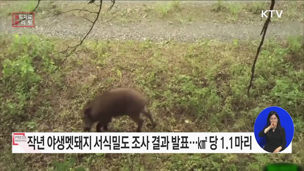 전국 야생멧돼지 서식밀도 ㎢ 당 1.1마리