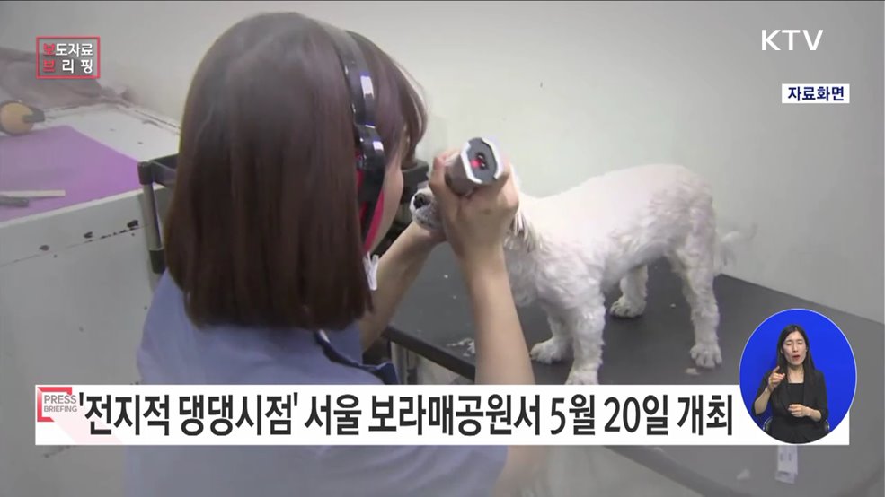 반려동물 축제 &#39;전지적 댕댕시점&#39; 개최