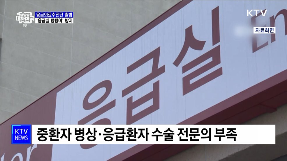 &#39;응급실 뺑뺑이&#39; 막는다···응급의료추진단 출범