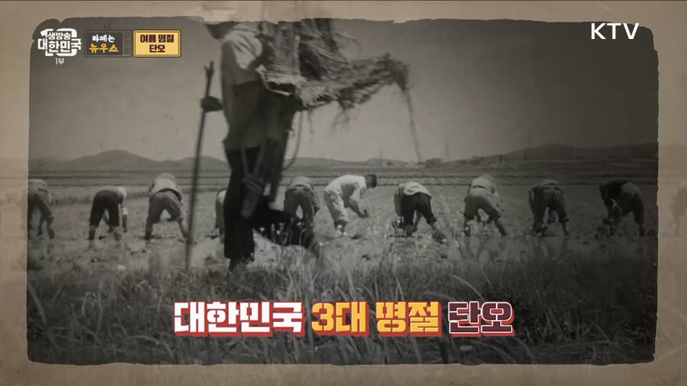 머리감고 씨름하고 그네뛰고···단오절을 아십니까? [라떼는 뉴우스]