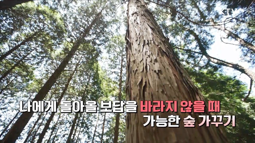 민둥산에서 명품숲으로! 60년의 기적 2부