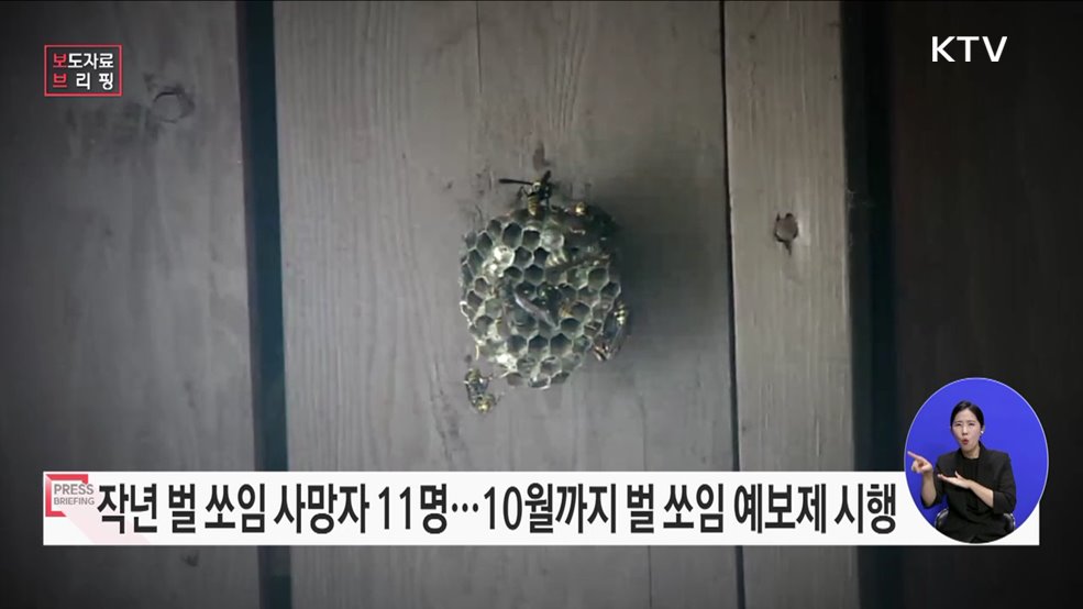 &#34;올여름 벌들의 공습이 예상됩니다.&#34; 벌 쏘임 사고 예보제 시행